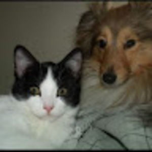 Meet your Posher, Carla